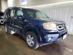 2009 HONDA PILOT