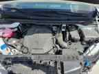 2026 KIA Carnival