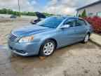 2008 TOYOTA Avalon