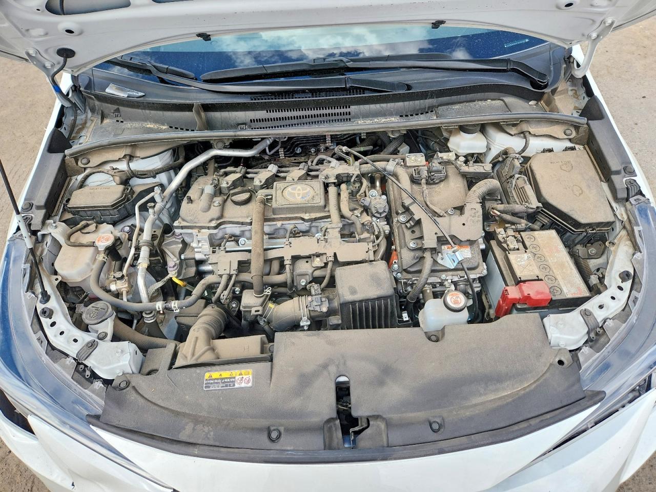 2023 TOYOTA COROLLA