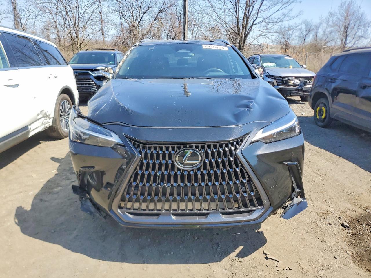 2025 LEXUS NX 350