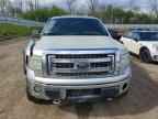 2013 FORD F-150 Lightning