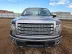 2013 FORD F-150 Lightning