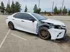 2024 Toyo Camry