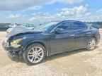 2011 NISSAN Maxima