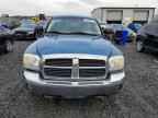 2005 DODGE Dakota