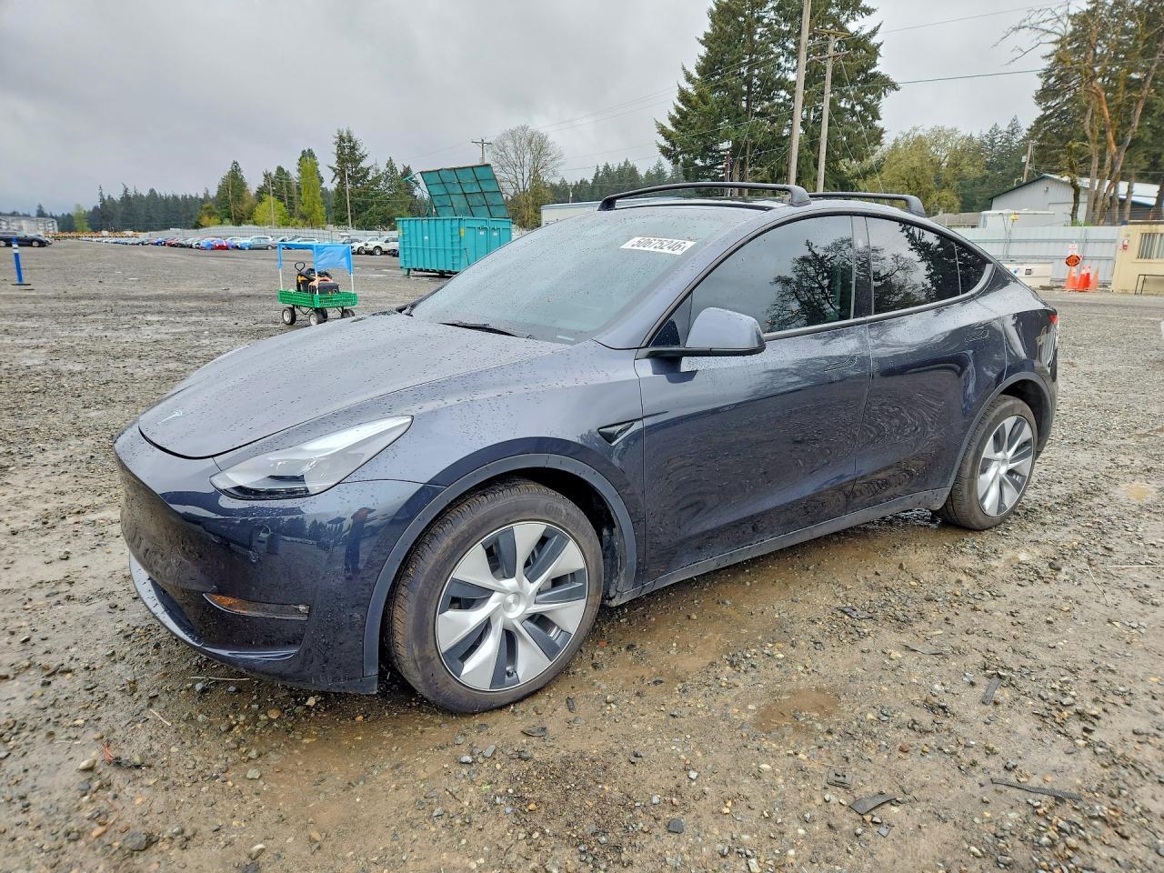 2024 TESLA MODEL Y