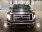 2011 FORD F-150 Lightning