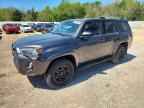 2021 TOYOTA 4Runner