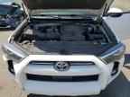 2023 TOYOTA 4Runner