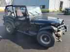 1995 JEEP WRANGLER
