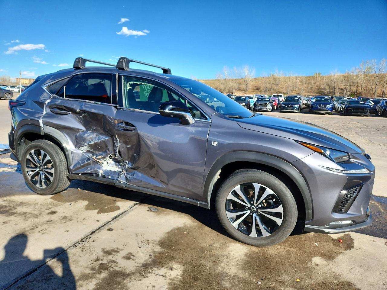 2020 LEXUS NX 300