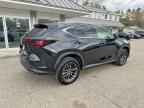2022 LEXUS NX 250