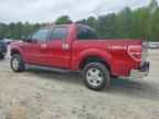 2014 FORD F-150 Lightning