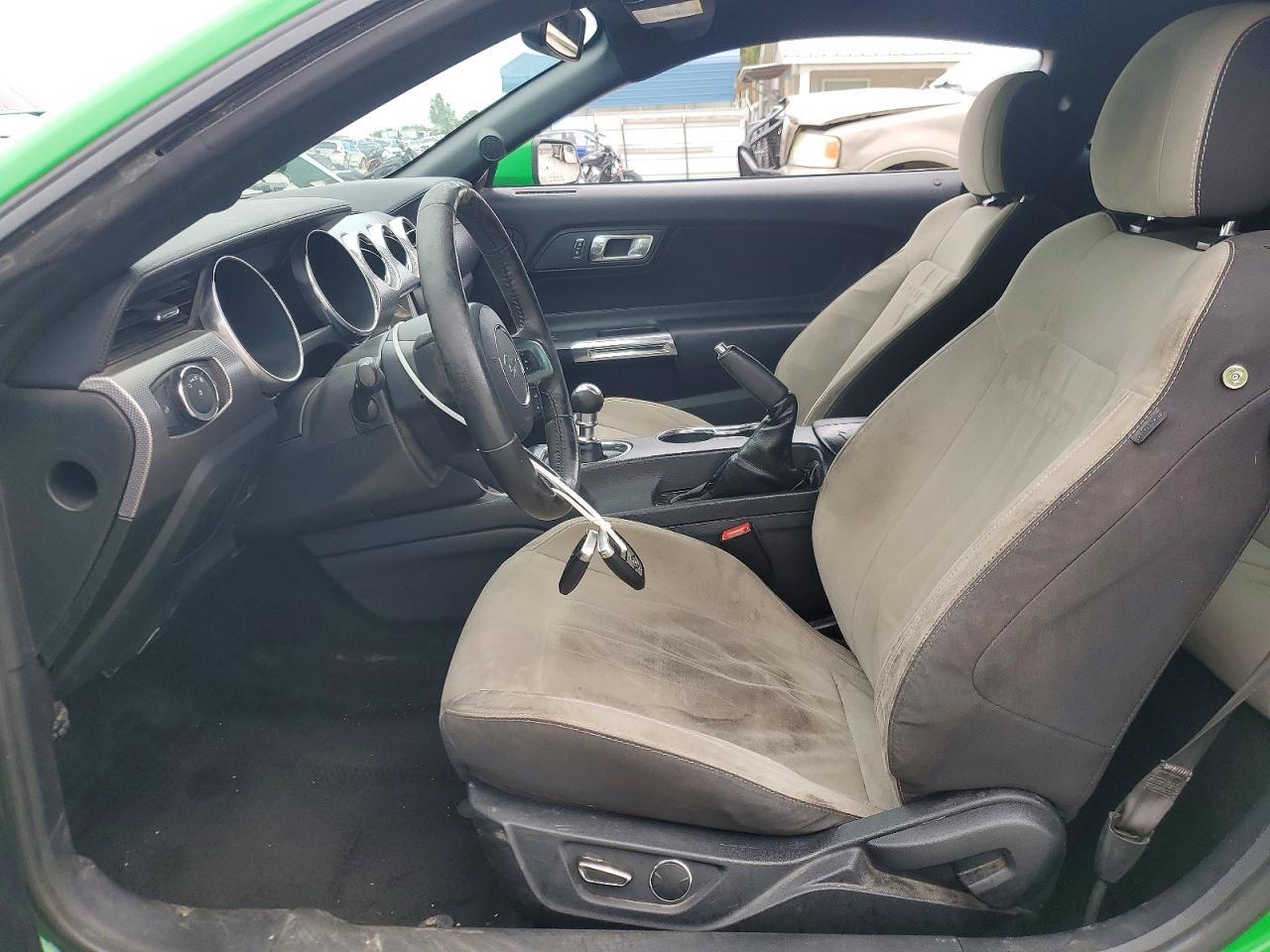 2019 FORD MUSTANG