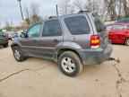 2005 FORD ESCAPE