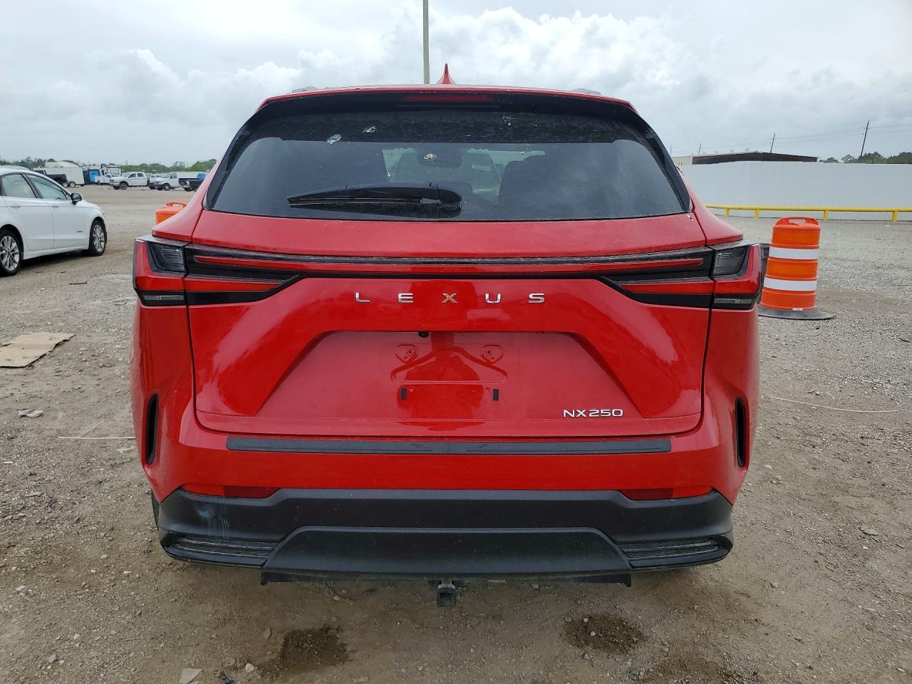 2024 LEXUS NX 250