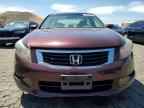 2010 HONDA ACCORD