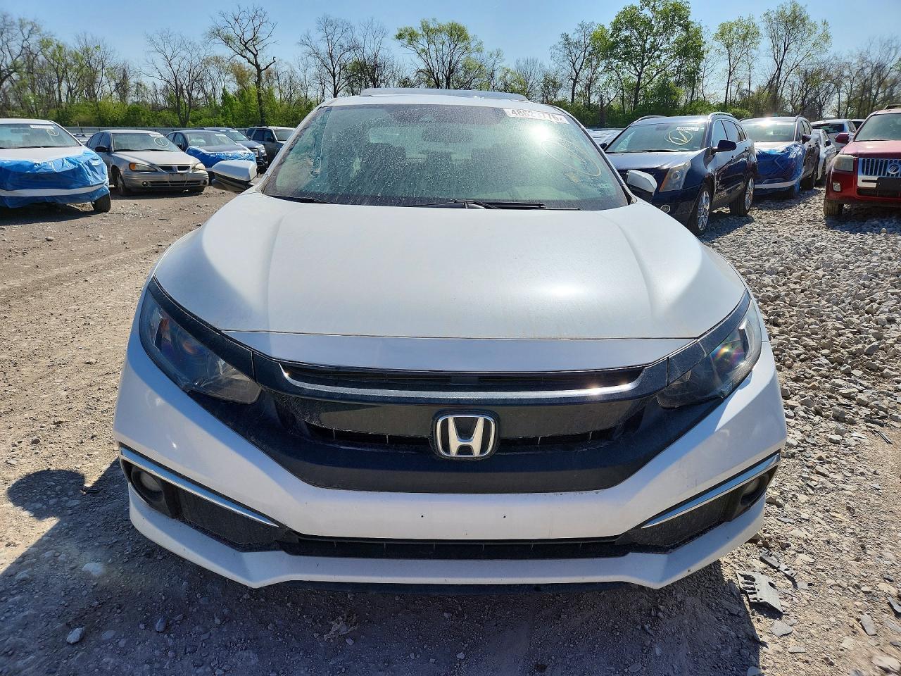 2019 HONDA CIVIC