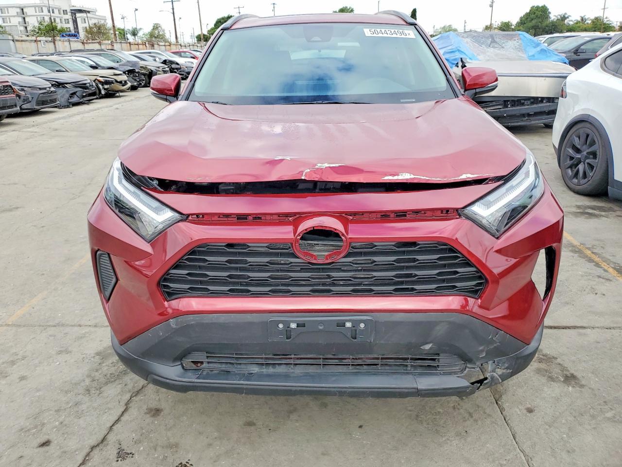 2025 TOYOTA RAV4