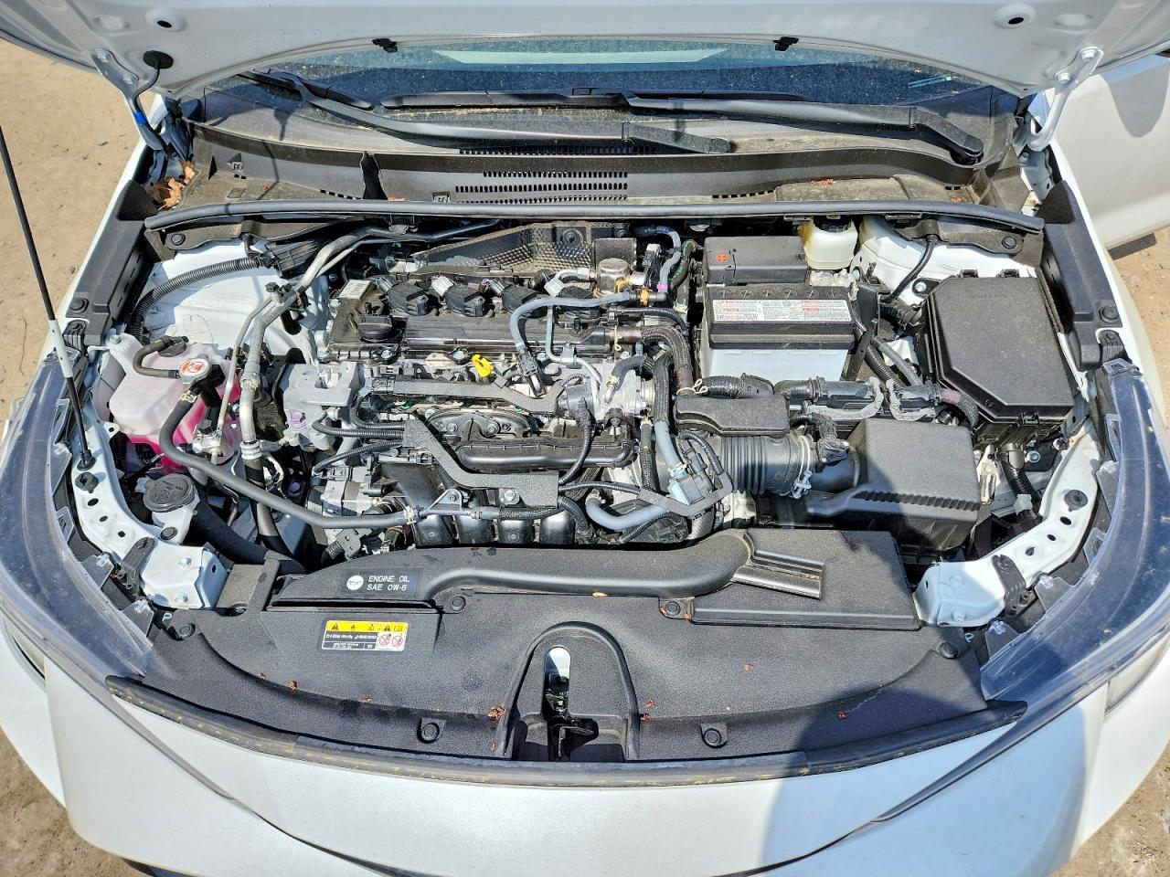 2025 TOYOTA COROLLA