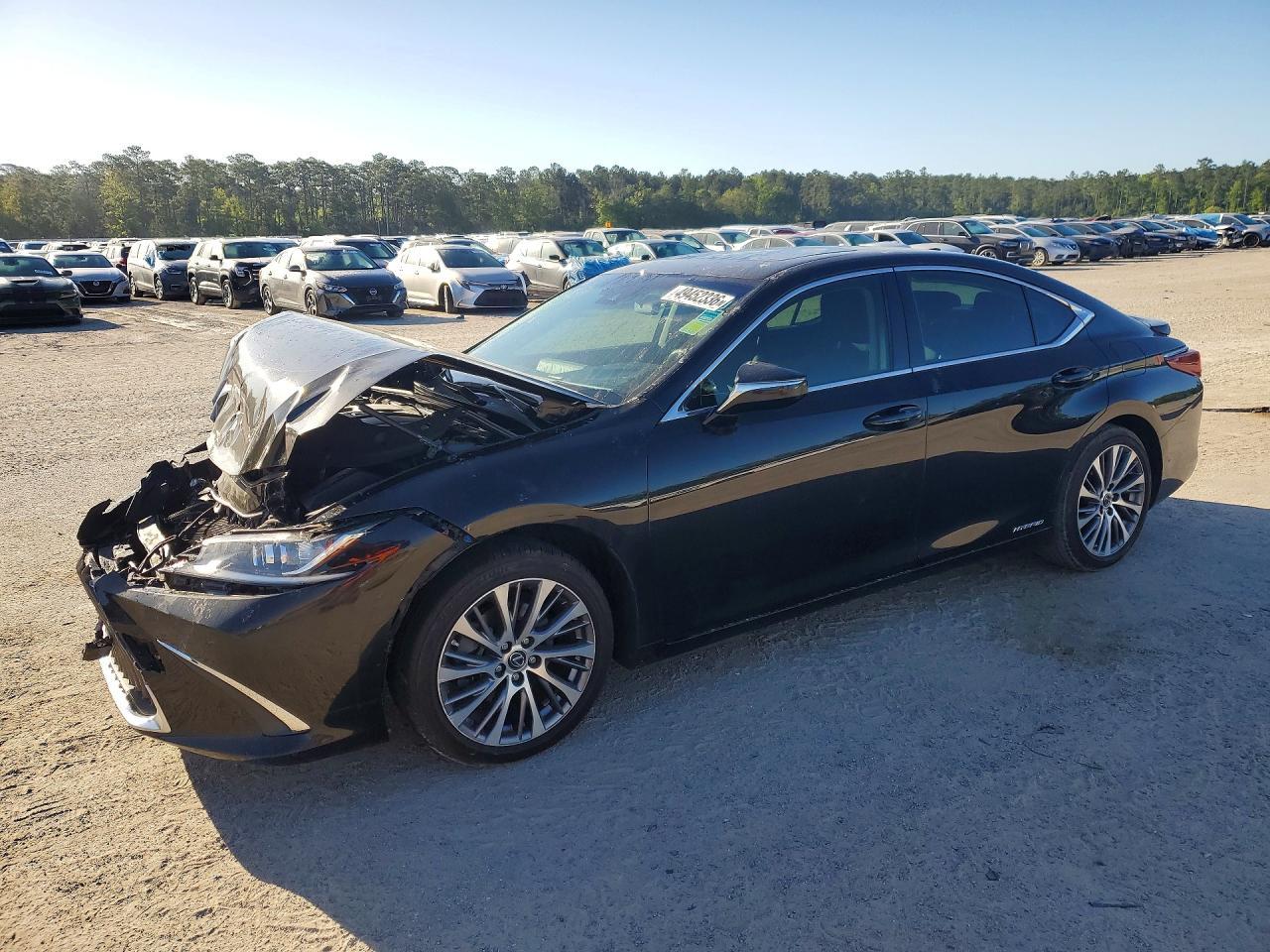 2019 LEXUS ES 300H
