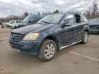 2007 Merz M-Class
