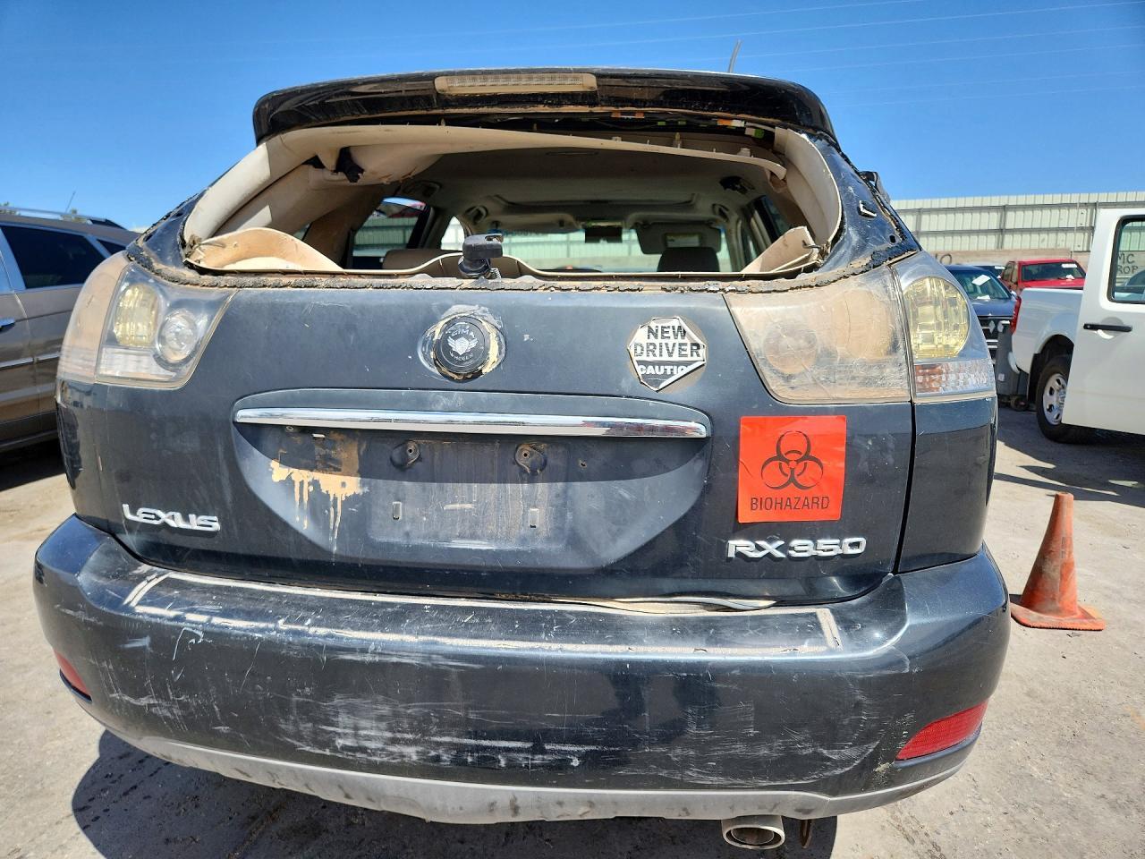 2007 LEXUS RX 350
