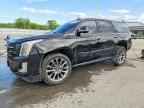 2019 CADILLAC ESCALADE