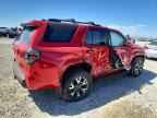 2025 TOYOTA 4Runner