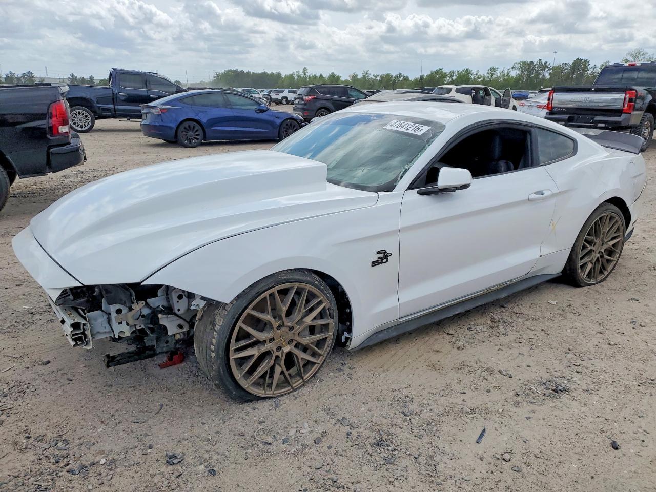 2019 FORD MUSTANG