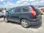 2010 HONDA CR-V
