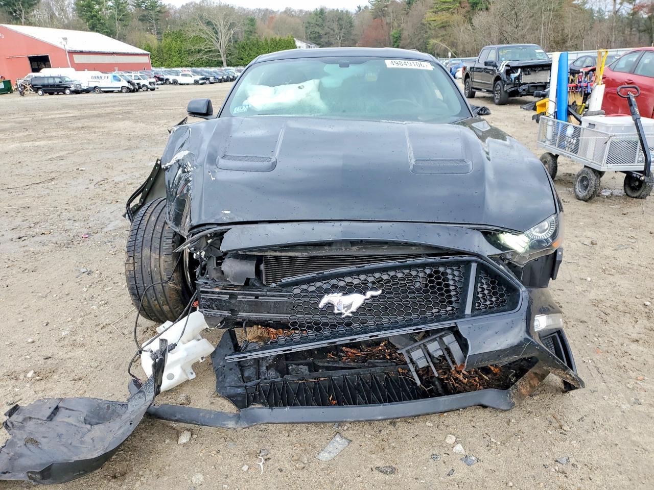 2019 FORD MUSTANG