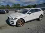 2019 JAGUAR F-Pace