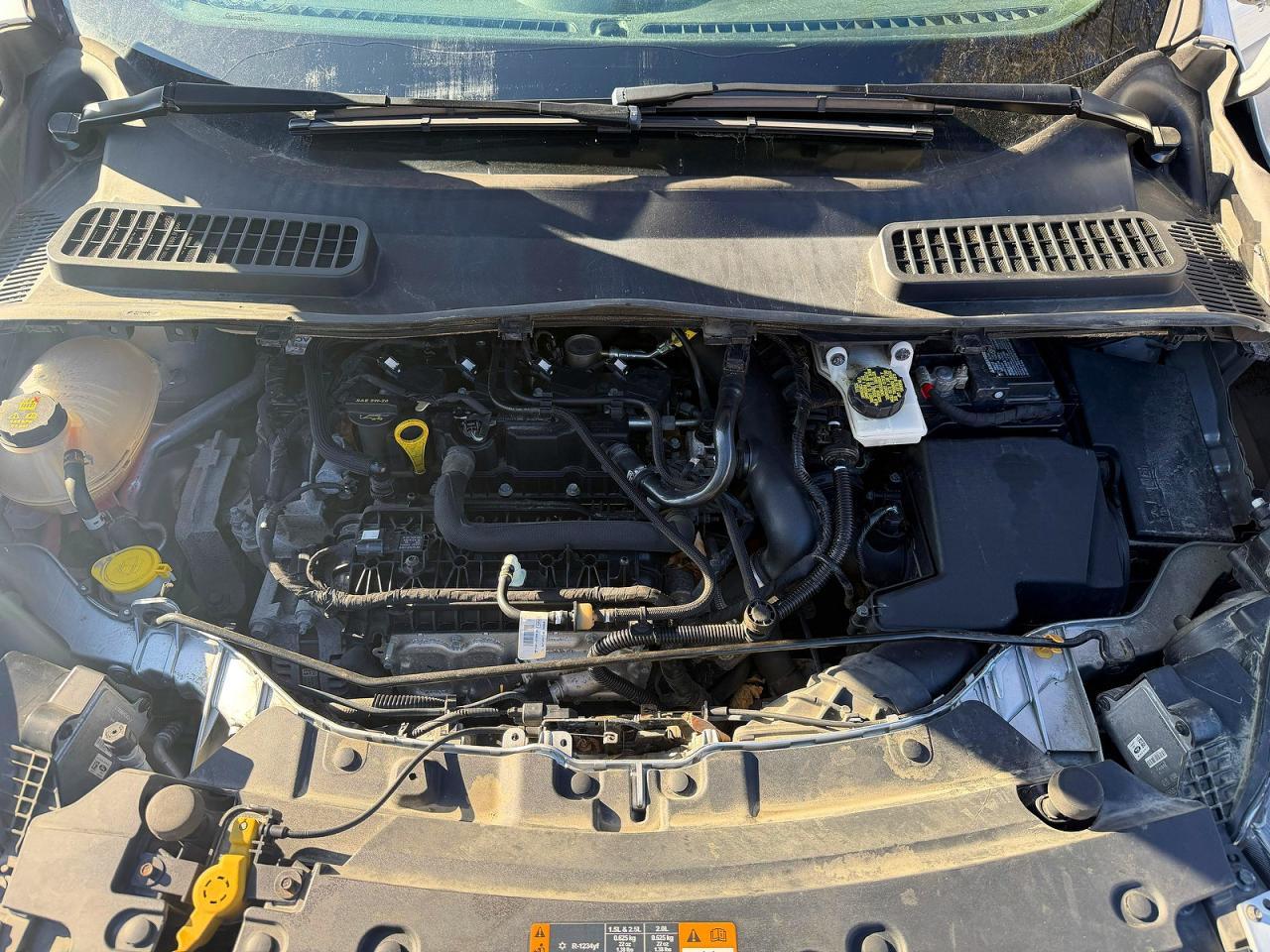 2019 FORD ESCAPE