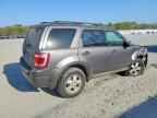 2009 FORD ESCAPE