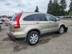 2007 HONDA CR-V