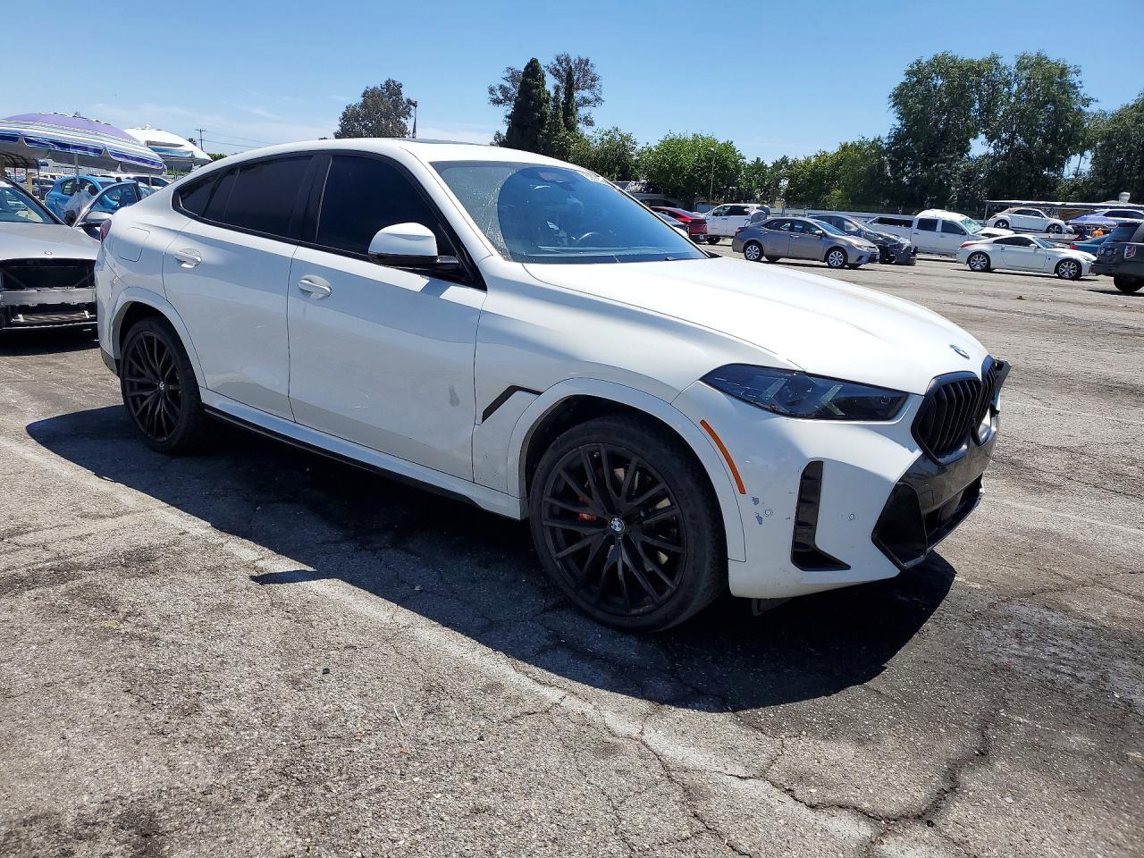 2024 BMW X6