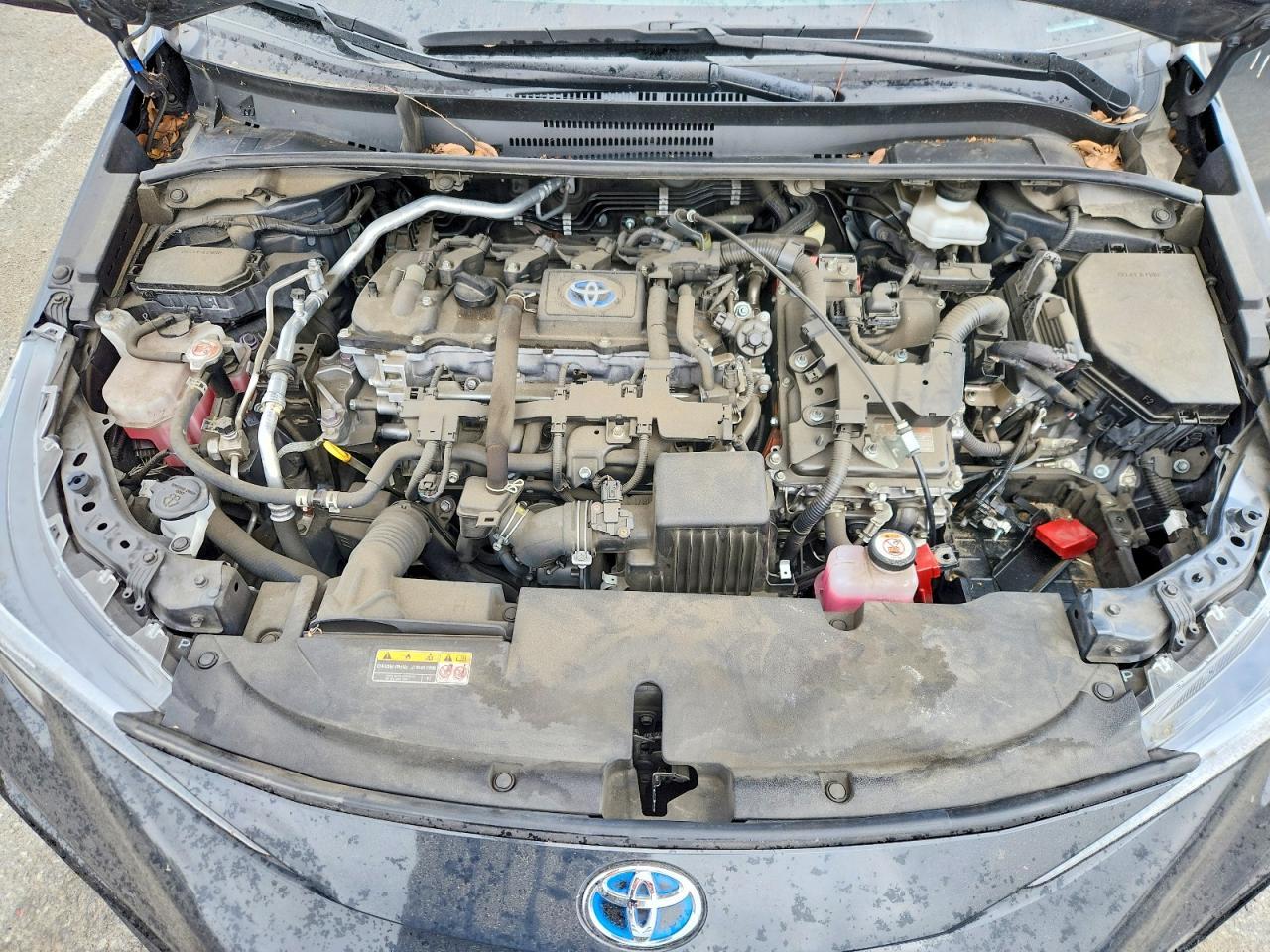 2023 TOYOTA COROLLA