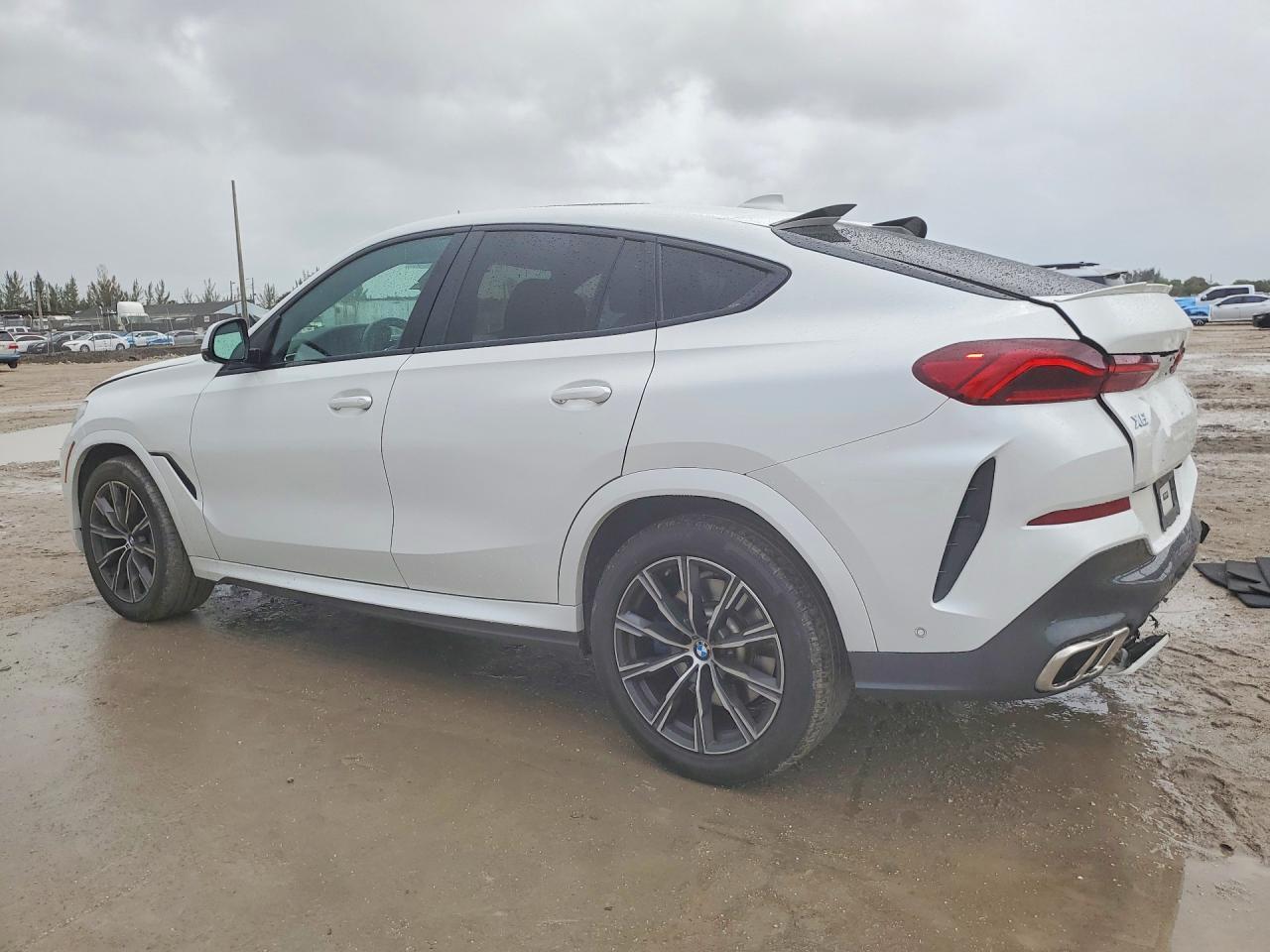 2020 BMW X6