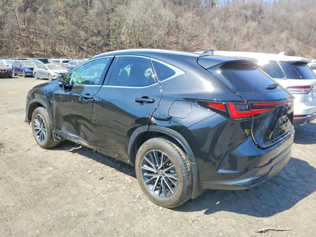 2025 LEXUS NX 350