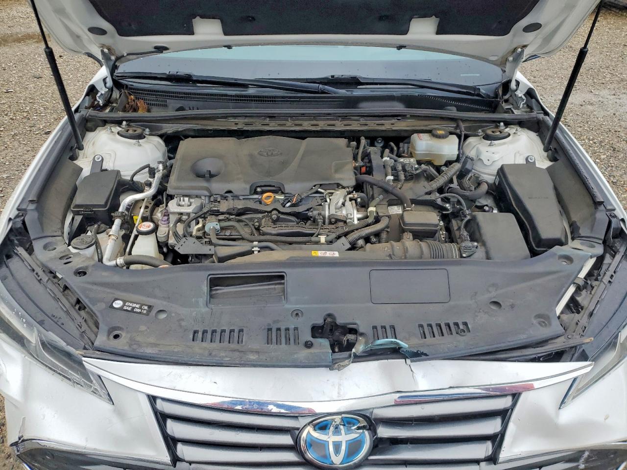 2020 TOYOTA Avalon