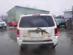 2009 HONDA PILOT