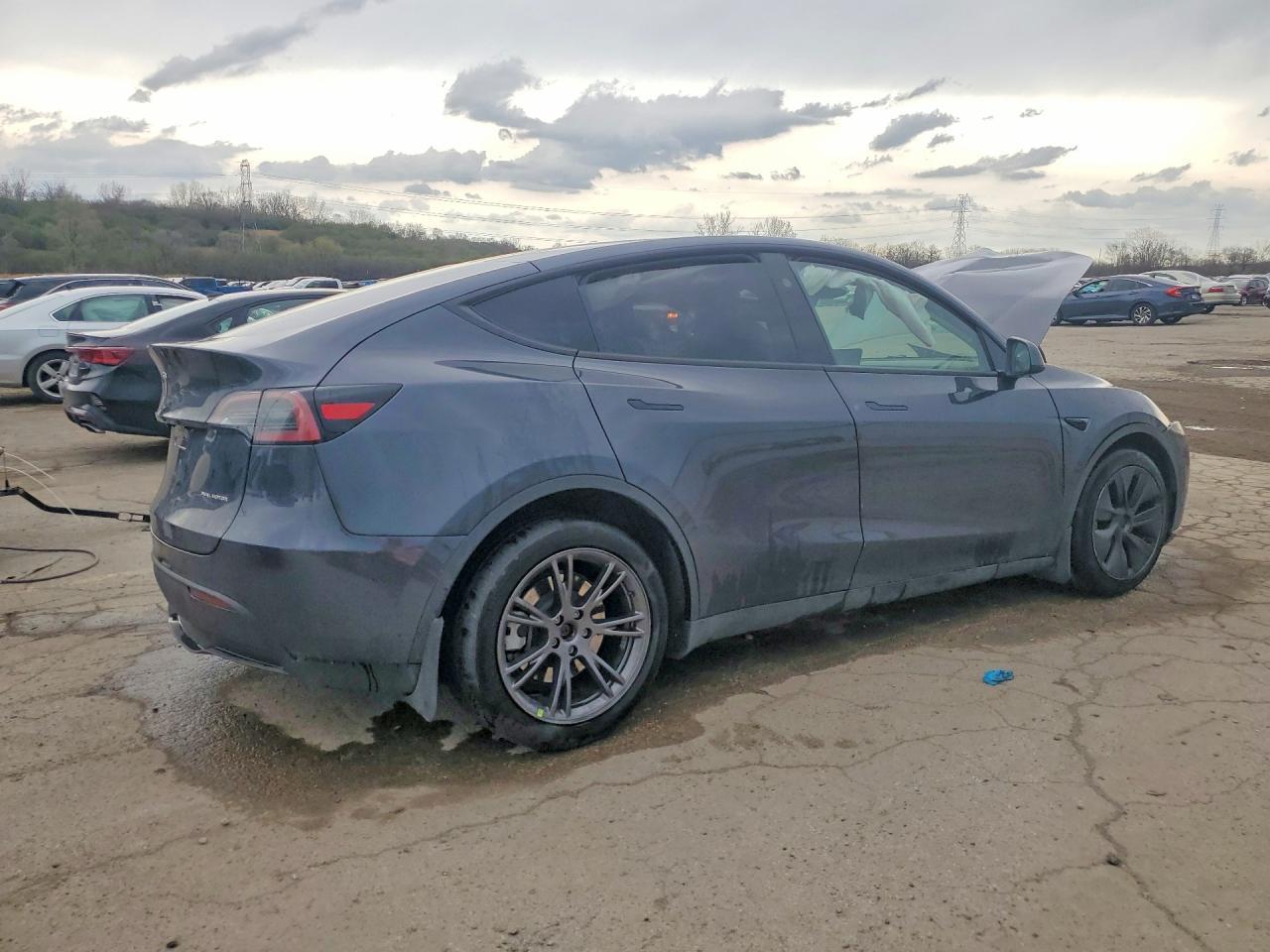 2025 TESLA MODEL Y
