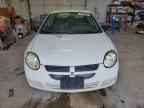 2005 DODGE Neon