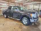 2013 FORD F-150 Lightning