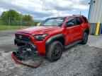 2025 TOYOTA 4Runner