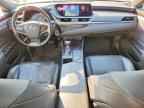 2019 LEXUS ES 300H