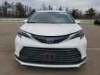2024 TOYOTA SIENNA