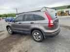 2010 HONDA CR-V